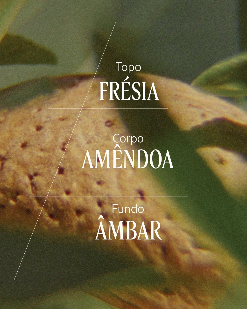 Presente Amande Sublime: Esfolia&ccedil;&atilde;o e Hidrata&ccedil;&atilde;o, , large